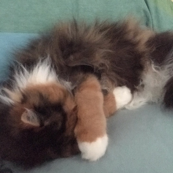 Meet your Posher, Karen - Picture 1 of 1